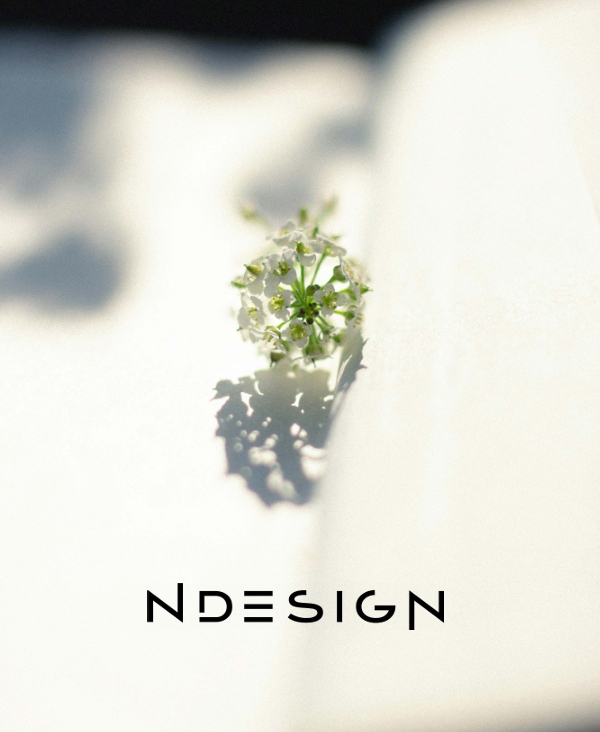 Ndesign -2025